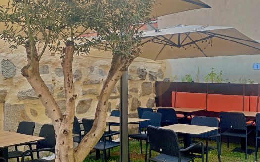 Trespasse de Restaurante e Cafetaria no Porto