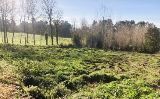 Terreno para Construção em São Félix da Marinha