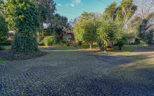 Moradia Térrea Santo Tirso