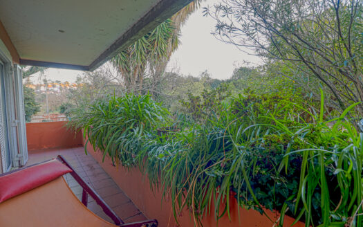 Moradia Térrea Santo Tirso