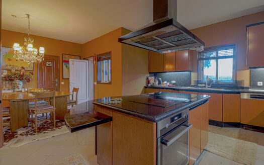 Moradia Térrea Santo Tirso