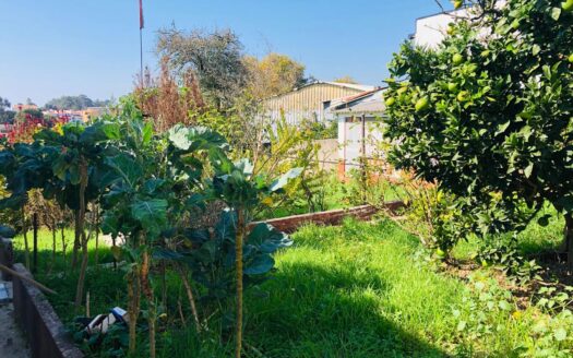 Moradia para venda em São Félix da Marinha