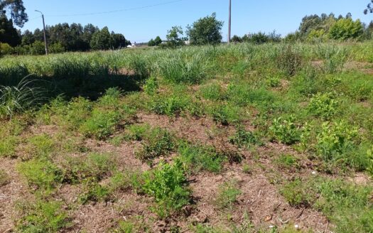 Terreno em Serzedo com 1000m2