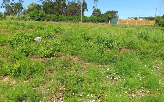 Terreno em Serzedo com 1000m2