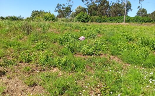 Terreno em Serzedo com 1000m2