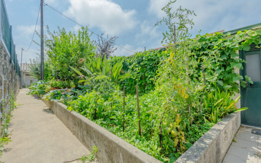 Moradia T2 com Possibilidade de T3 + Moradia T2 Independente | 344 m² de Terreno | Garagem Dupla | Painéis Solares | Excelente Localização